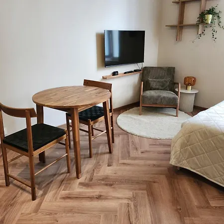 Premium - Proche Chu Et Centre-ville Appartement