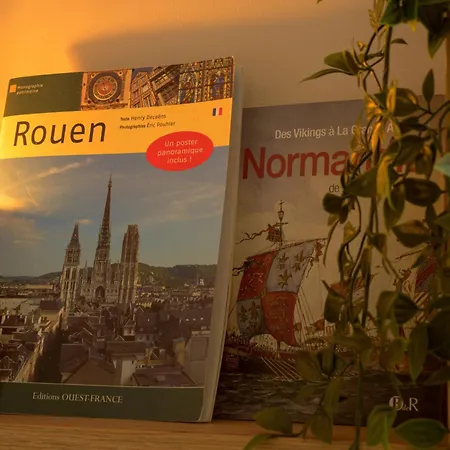 Apartment Premium - Proche Chu Et Centre-ville Rouen
