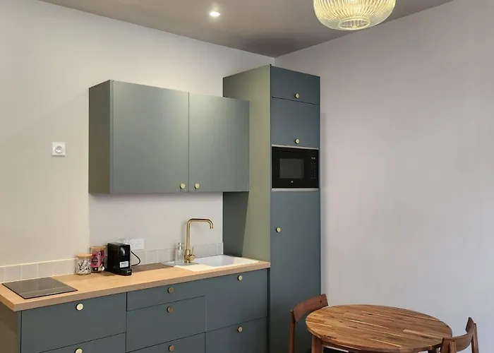 Premium - Proche Chu Et Centre-ville