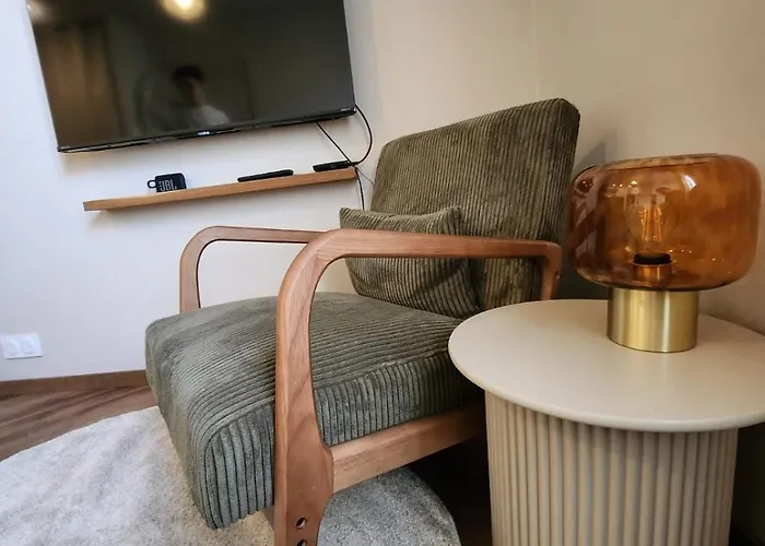 Premium - Proche Chu Et Centre-ville Appartement *