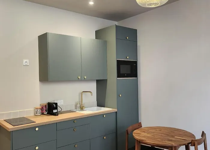 Appartement Premium - Proche Chu Et Centre-ville