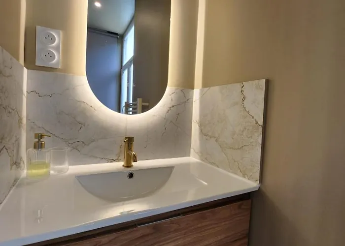 Premium - Proche Chu Et Centre-ville Rouen